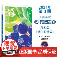 2024年《译林》杂志第三期 译林出版社店正版 大型外国文学期刊译林杂志 长篇小说中短篇小说
