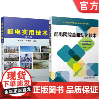 套装 配电实用技术+配电网综合自动化技术 配电系统设计安装维护 配电自动化 配电设计 电工书籍(全2册)