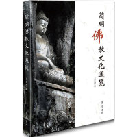 音像简明文化通览王宏涛 著