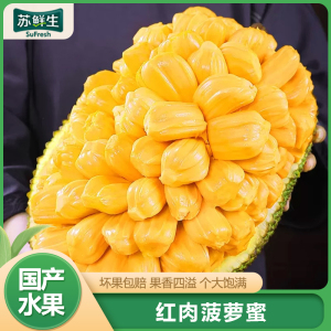 [苏鲜生]海南红肉菠萝蜜 新鲜水果 香甜可口 1个 净重16-18斤装 西沛水果