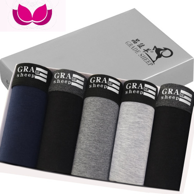 七斓五条装男士内裤男平角裤棉透气青年秋季莫代尔全四角短裤头潮