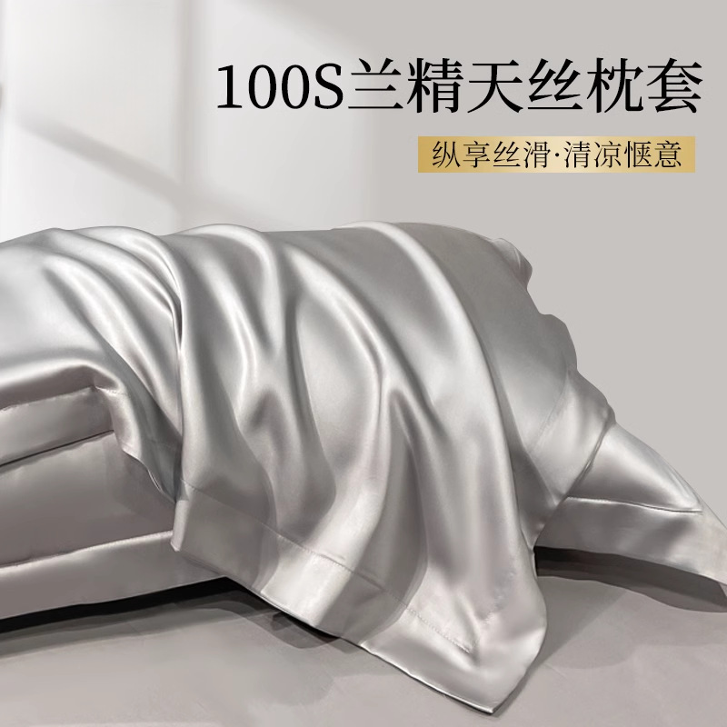 天丝夏季枕套真丝枕头套一对装冰丝枕头套48cmx74cm2026新款2