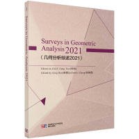 醉染图书几何分析综述(2021)(英文版)9787030727