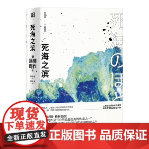 死海之滨