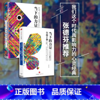 当下的力量白金版系列套装2册 [正版]当下的力量白金版系列(套装共2册) 当下的力量实践手册(白金版)+当下的力量(白金