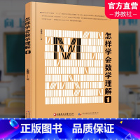 怎样学会数学理解.1 高中通用 [正版]怎样学会数学理解 1 中学数学课 教学研究 高中数学教学 王思俭著 江苏凤凰教育