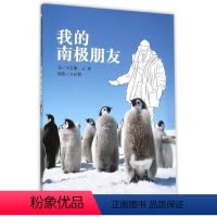 [正版]信谊原创儿童文学系列:我的南极朋友 儿童认知类故事图画书5-6-7-8岁幼儿童读物 小学一年级桥梁书 科普读物