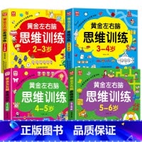 [全4册]左右脑思维训练2-6岁 [正版]全套4册 左右脑思维训练2-3-4-5-6岁幼儿益智书籍益智思维逻辑训练宝宝左