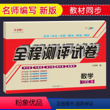 [正版]九年级数学试卷上册下册全一册华师大版 子甲教育全程测评试卷单元月考期中期末卷初三数学辅导资料参考书同步练习题集