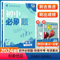 数学[北师版] [正版]2024新版 初中必刷题八年级下册数学北师版同步专项训练初二8年级下册人教同步辅导资料书练习册试