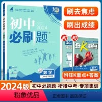 数学[北师版] [正版]2024新版 初中必刷题八年级下册数学北师版同步专项训练初二8年级下册人教同步辅导资料书练习册试