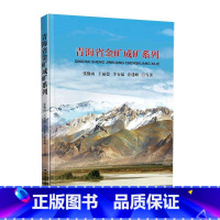 [正版]青海省金矿成矿系列张勤山等 书自然科学书籍