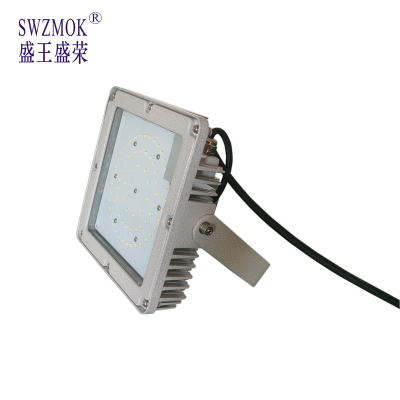 盛王盛荣 LED 平台灯