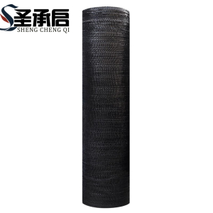 圣承启 太阳网 2*8m张