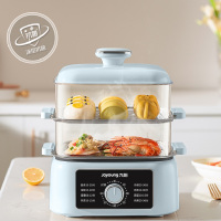 九阳电蒸锅 DZ110HG-GZ660(厂)