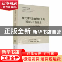 正版 现代刑事法治视野下的国家与社会安全(2020年度全国刑法学术