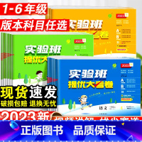 语文·人教版 四年级下 [正版]2023新实验班提优大考卷小学一二三四五六年级上下册语文数学英语人教版苏教北师大版单元同