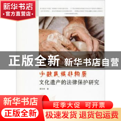 正版 少数民族非物质文化遗产的法律保护研究 谭东丽著 吉林大学