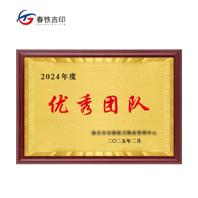 春铁吉印 奖牌 300mm*400mm 个
