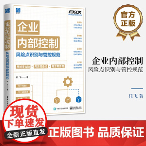 2023新书 企业内部控制风险点识别与管控规范 任飞 企业管理财务会计风险防控书籍主要风险点企业内部管理精细化管理书籍