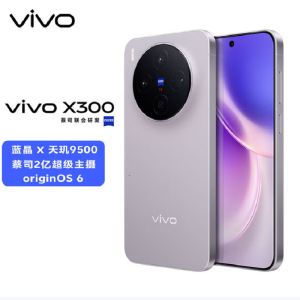 vivo X300 惬意紫 12GB+512GB 蓝晶×天玑9500芯 大电池 90W快充 支持无线充电 蔡司超级潜望长焦 拍照 AI手机
