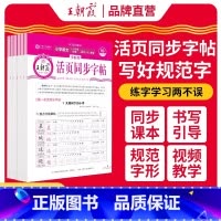 [语文]同步字帖 一年级上 [正版]2024活页同步字帖小学语文一二三四五六年级上册人教版小学123456年级语文活页字