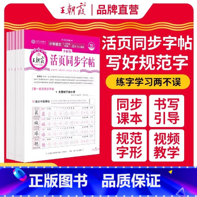 [语文]同步字帖 一年级上 [正版]2024活页同步字帖小学语文一二三四五六年级上册人教版小学123456年级语文活页字