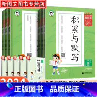 语文[人教版] 一年级上 [正版]2024新版53小学基础练语文积累与默写一二三四五六年级上册下册看拼音同步训练习123