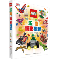 音像精彩搭建(丹)丹尼尔·利普科维茨