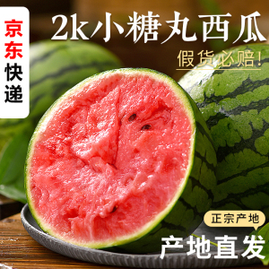[西沛生鲜]新鲜2k西瓜 1.5-2斤 1个