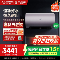 AO史密斯60升电热水器 国家补贴 金圭内胆 双棒分离速热 免换镁棒 免清洗短款 E60ED8-B