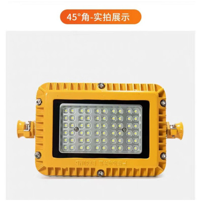 眷忆城JYC411 LED防爆泛光灯 功率:40W 黄色
