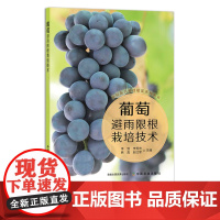 葡萄避雨限根栽培技术 29568 李勃,李秀杰,韩真,赵红军 阳光玫瑰 夏黑 巨峰