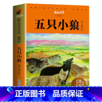 [正版] 五只小狼 动物小说大王沈石溪品藏书系 狼王梦后新作 6-12岁少年儿童文学经典童书籍 小学生课外阅读物成