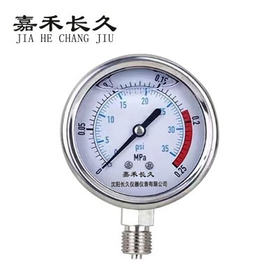 嘉禾长久 耐震压力表检测定制型 YTN50 块