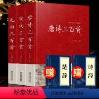 [正版]唐诗宋词元曲全集三百首 唐诗三百首宋词三百首元曲三百首 共3本 典藏版中国古诗词书籍古代古典诗词书籍 赠诗经楚