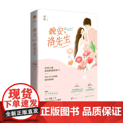 晚安,洛先生 眉袖 恨铁不成钢大老板VS伪善多面小萌新 悬爱版白夜追凶 现代 眉袖 百花洲文艺出版社 正版书籍