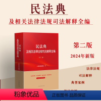 [正版]2024新书 民法典及相关法律法规司法解释全编 第二版 法律法规司法解释全编典型案例指导法律书 人民法院出版社