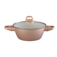 帝伯朗沐光金丝汤锅22cmDBL-JSTG01