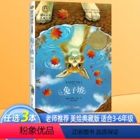 兔子坡 [正版]蓝鲸的眼睛眼泪 冰波童话系列图书 童话故事书 小学生三四年级课外书必读经典书目适合小学五六年级课外阅读书