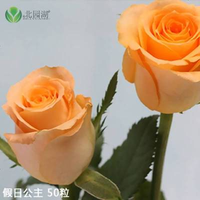 假花束价格 假花束最新报价 假花束多少钱 苏宁易购