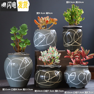 三维工匠多肉花盆组合套装创意个性粗陶透气肉肉植物老桩大小花盆 DL手造-19组合5个 中等花盆容器