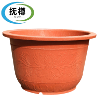 抚樽 花盆