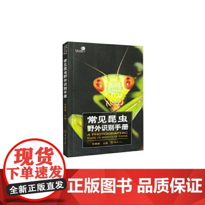 常见昆虫野外识别手册
