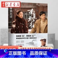 [正版]南来北往 高满堂著 白敬亭、金晨领衔主演年代大剧《南来北往》同名小说 迷雾深渊 悬案追凶推理小说文学书店书籍畅