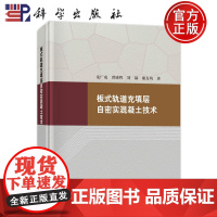 正版]板式轨道充填层自密实混凝土技术 龙广成 曾晓辉 刘赫 谢友均等 科学出版社9787030694164