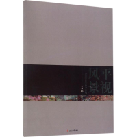 音像平视风景著