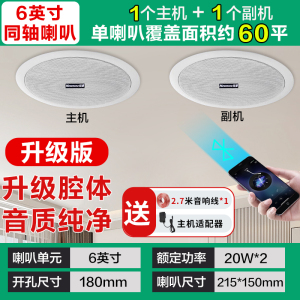 纽曼Newsmy蓝牙吸顶音响G-6 一拖一