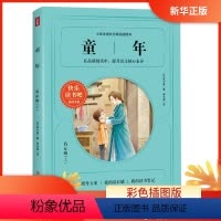 文科综合 [正版]书店 童年(六年级上)儿童读物 六年级小学生课外阅读书籍 快乐读书吧阅读书目