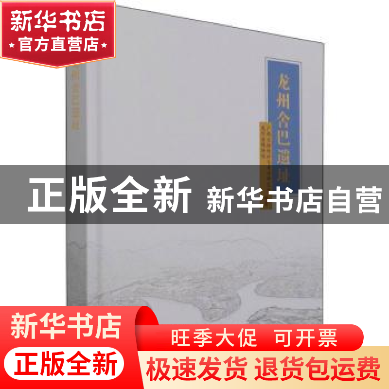 正版 龙州舍巴遗址 编者:广西文物保护与考古研究所//龙州县博物